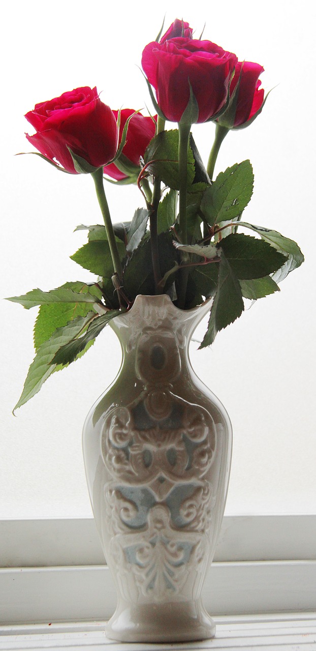ros roses vase free photo