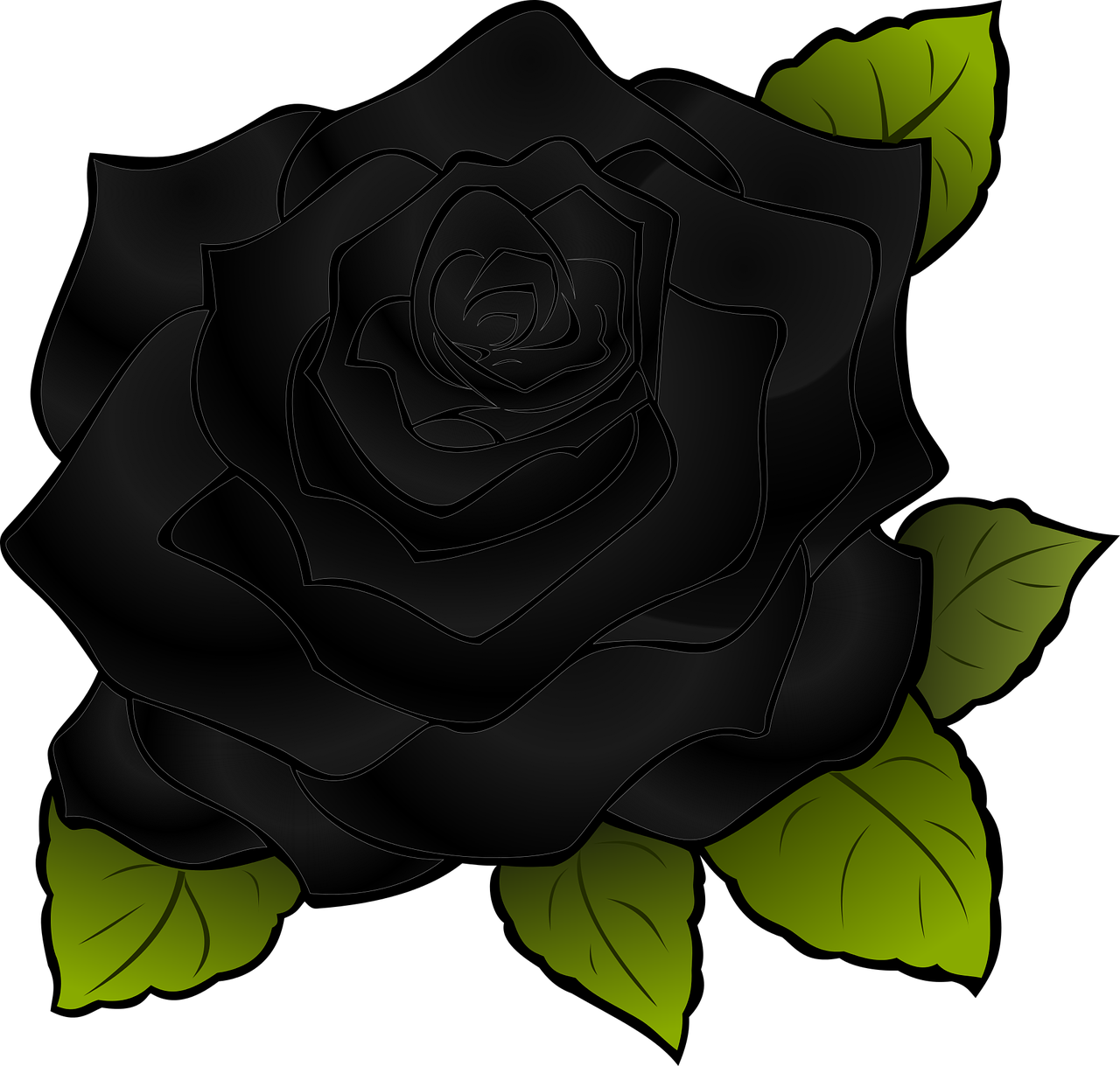 rosa flower black free photo