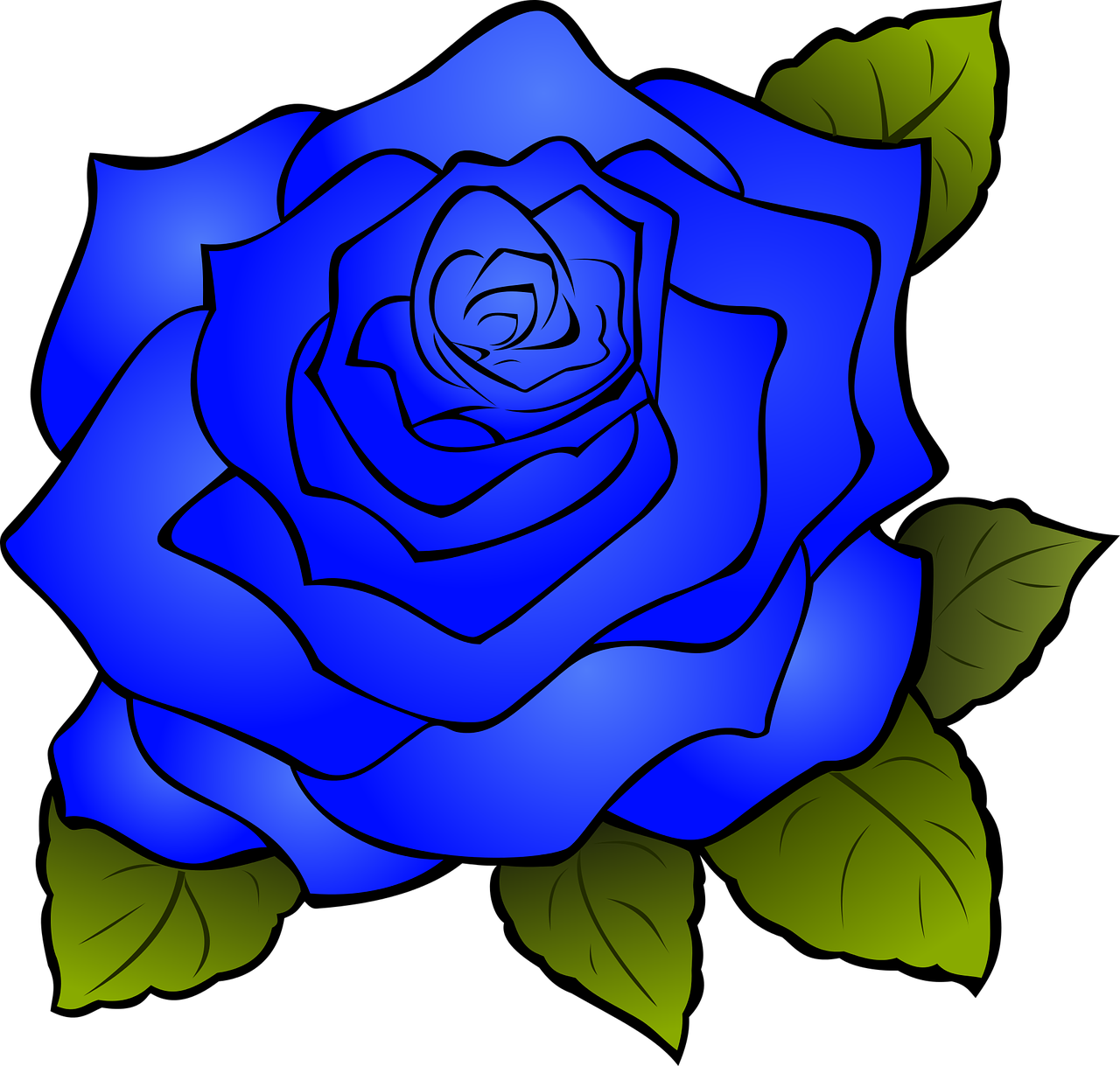 rosa flower blue free photo