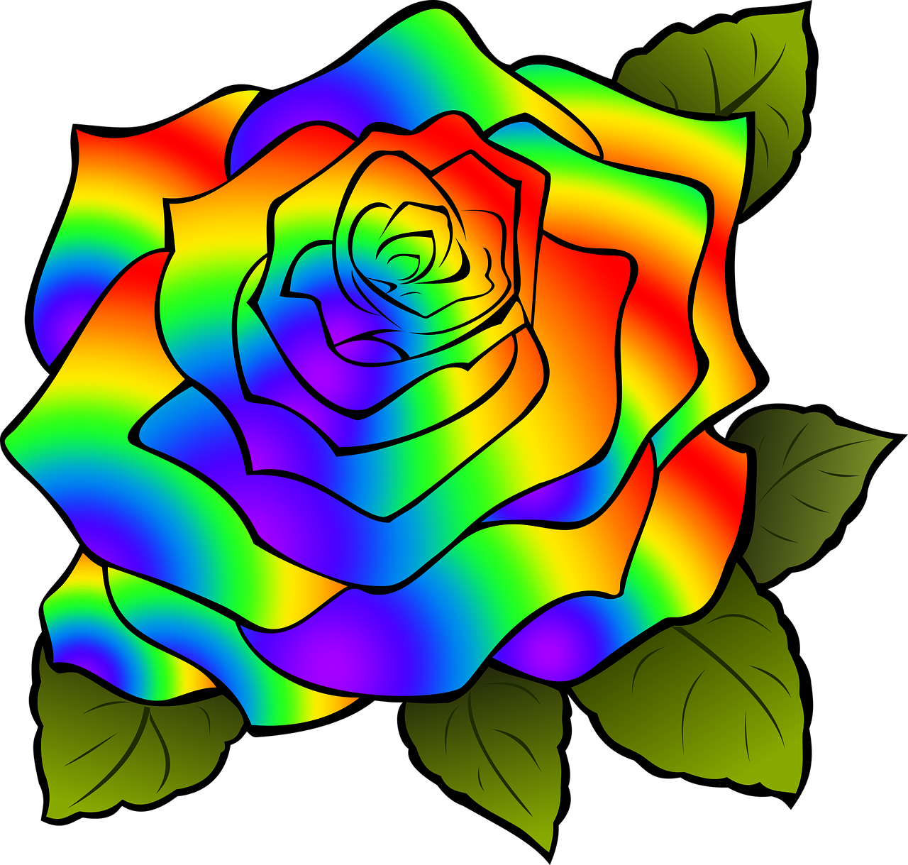 rosa flower rainbow free photo