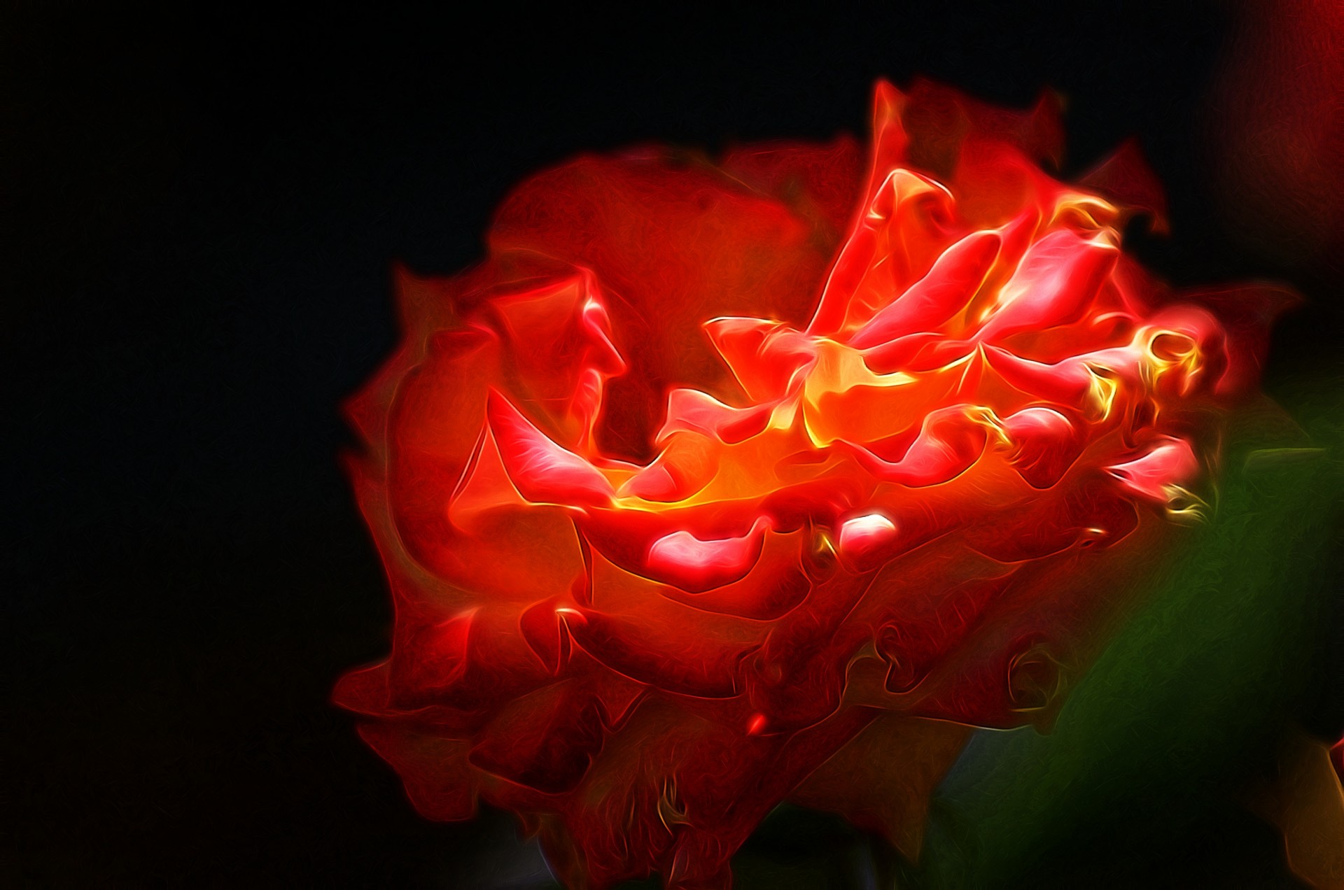 pink flower orange free photo