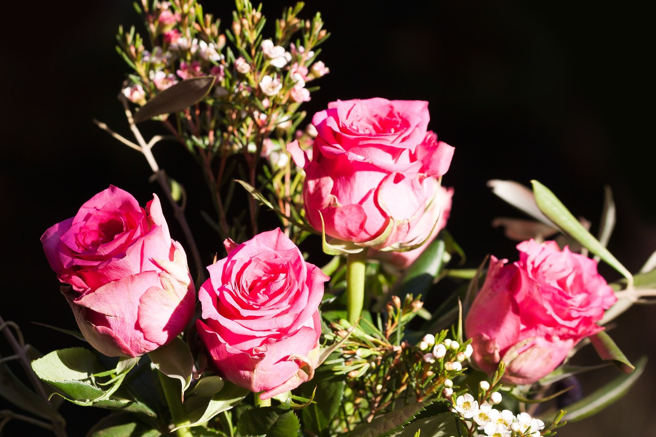 rose bouquet composites free photo