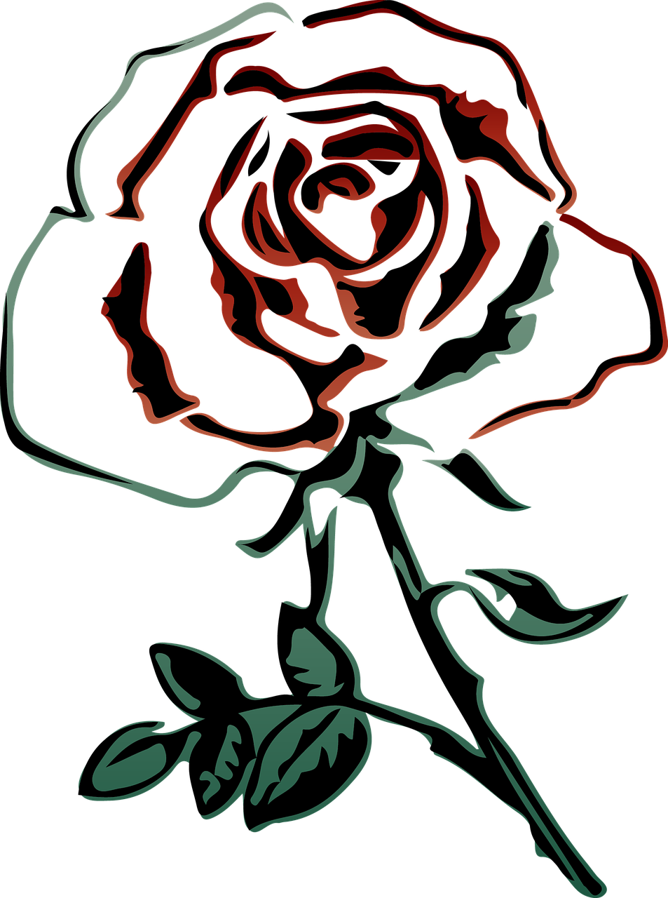 rose red red roses free photo