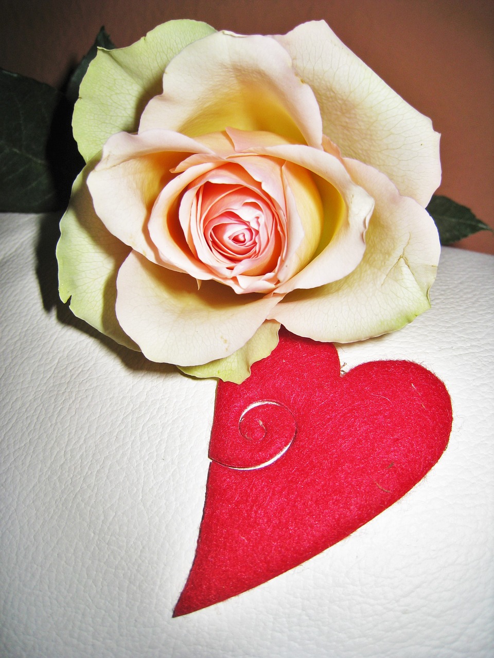 rose heart valentine's day free photo