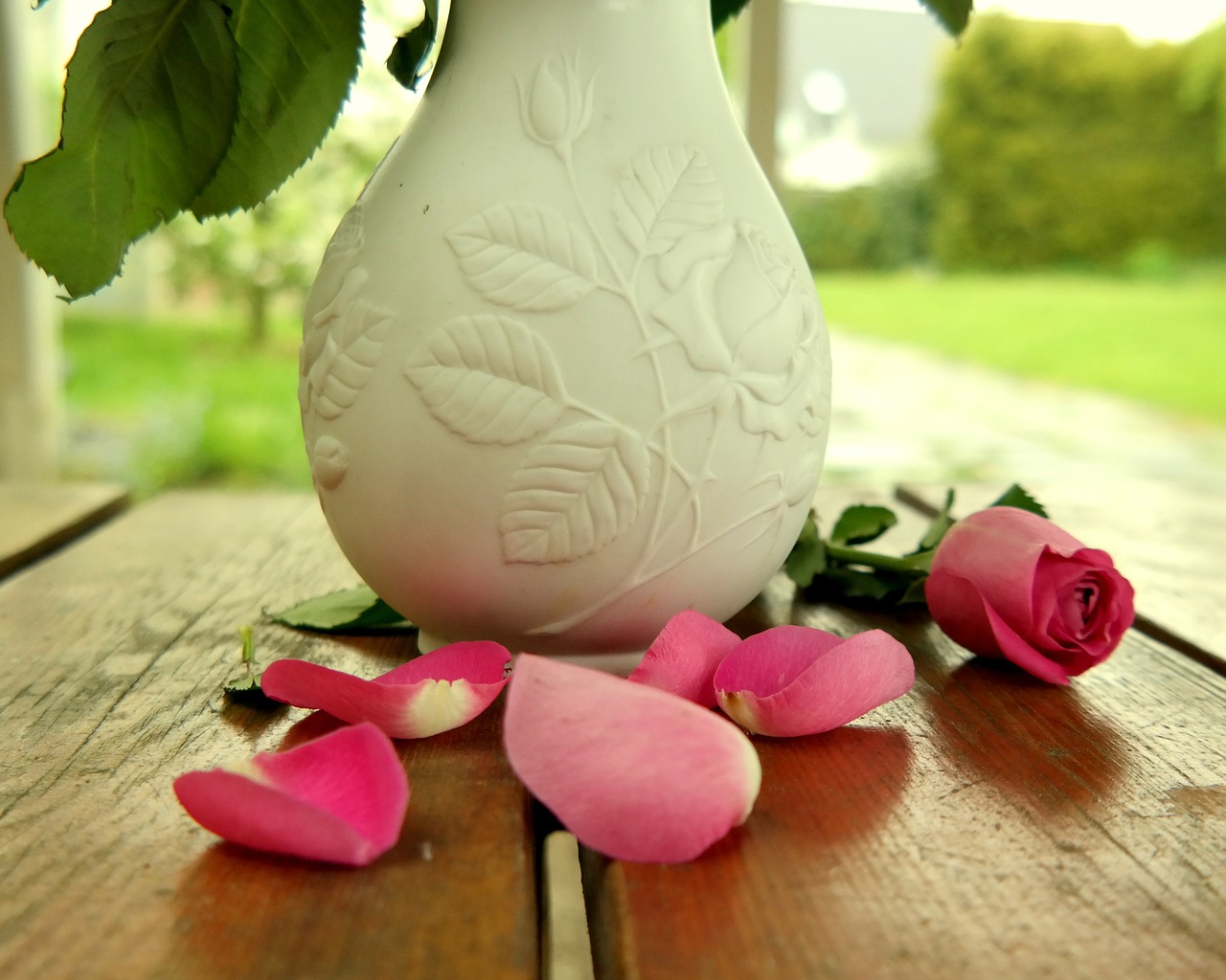 rose vase table free photo