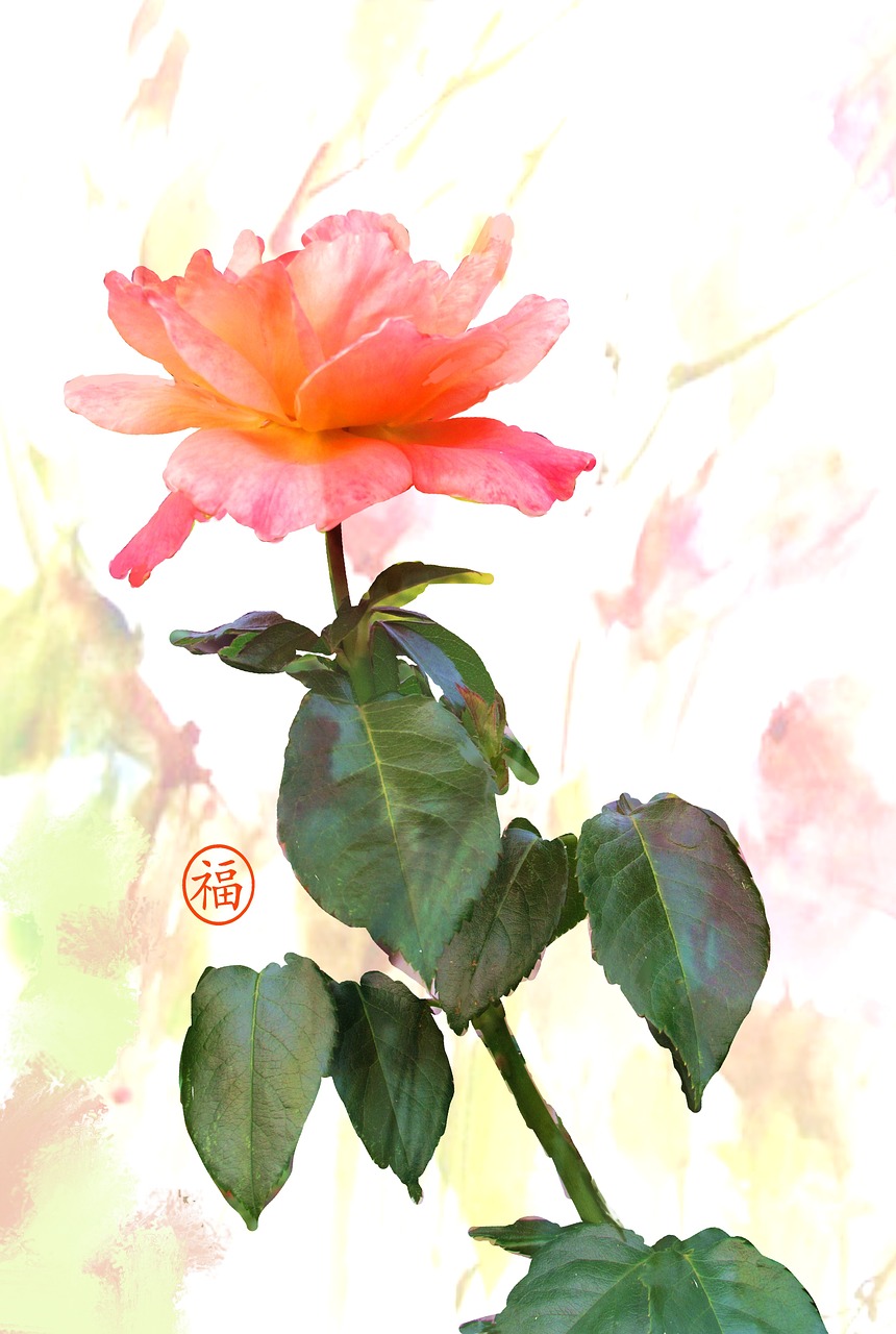 rose romantic digital oils free photo