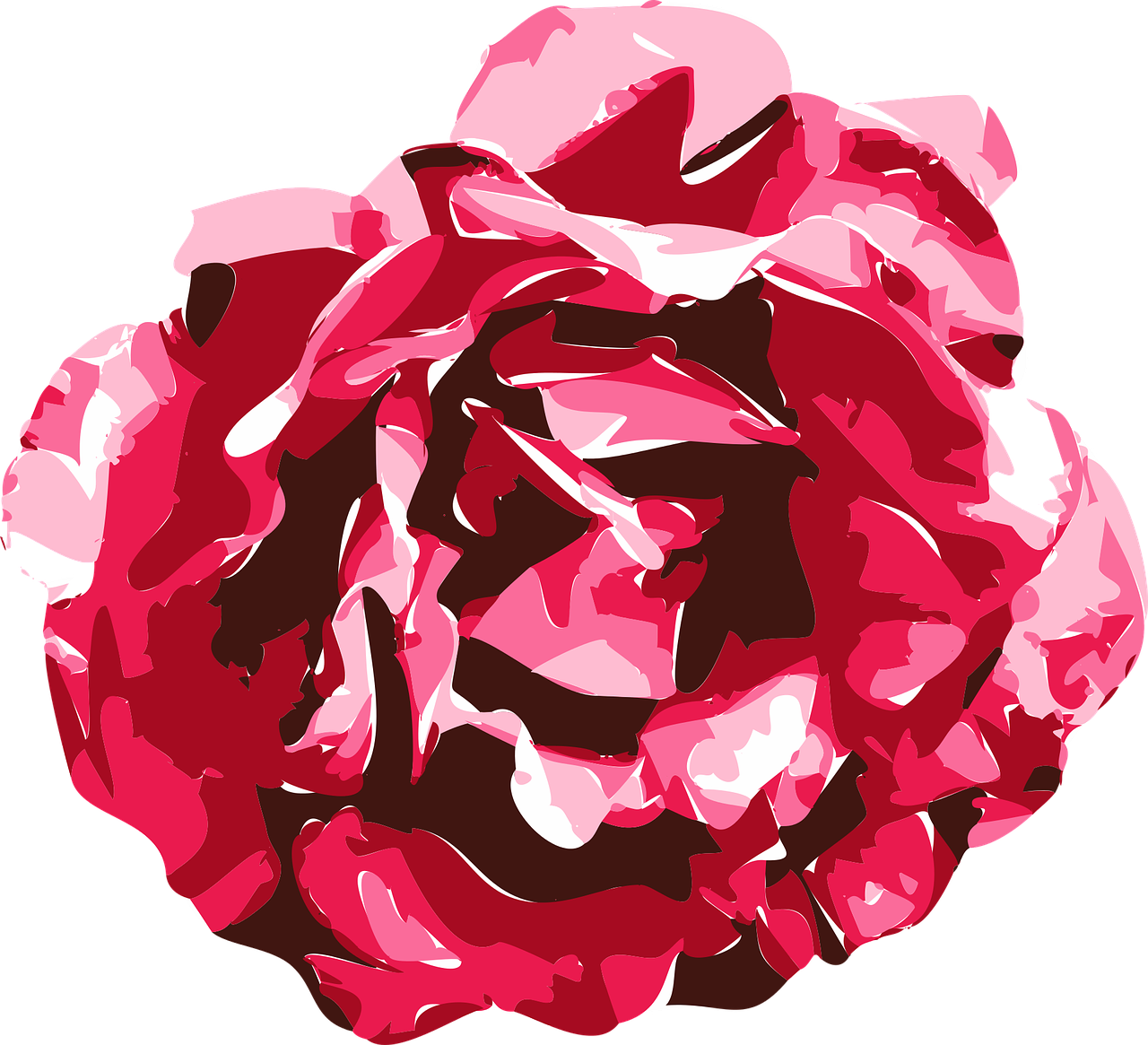 rose vector graphics free photo