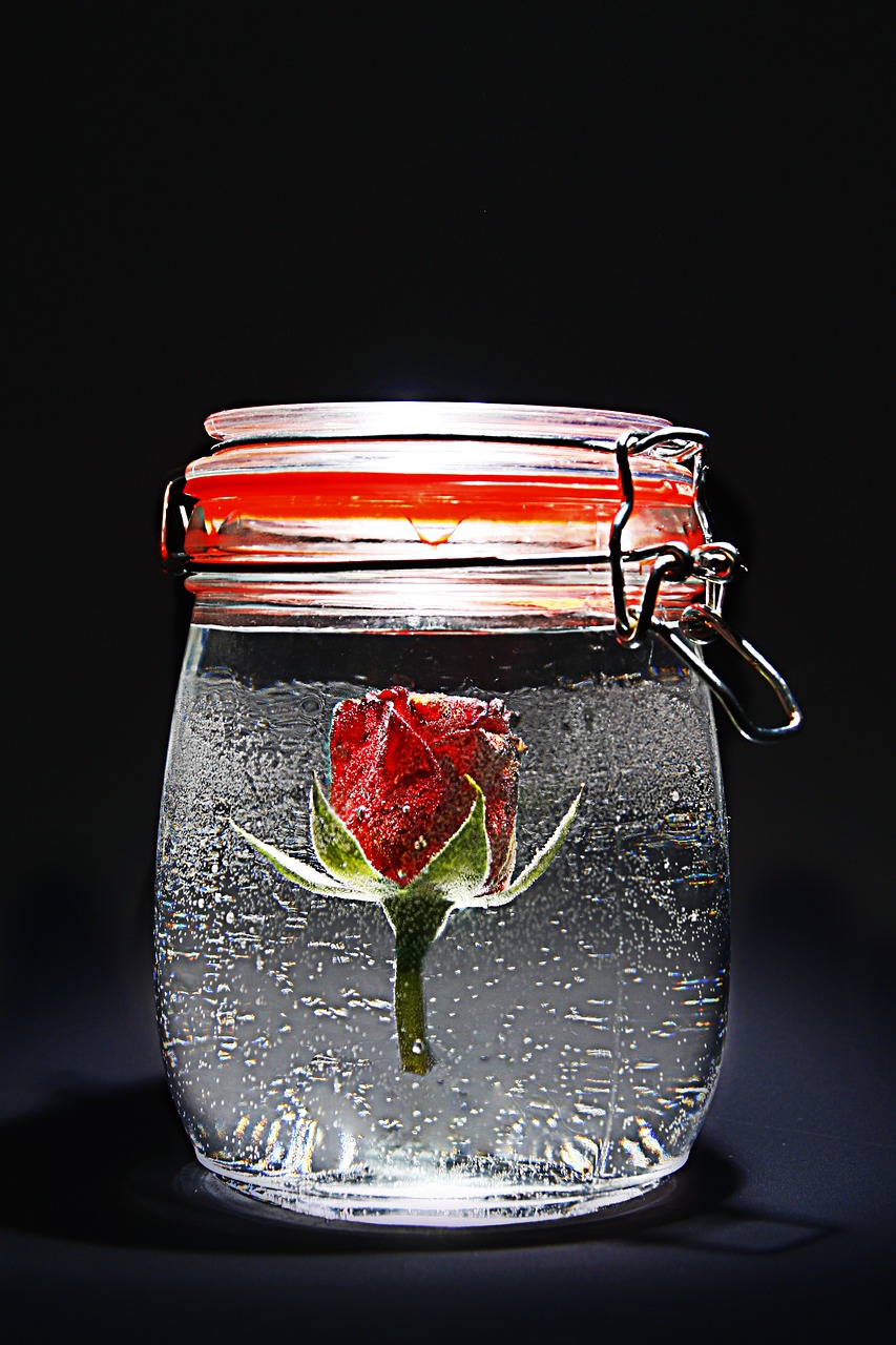 rose red jar free photo