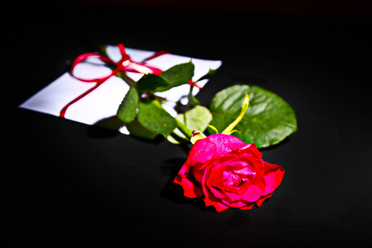 rose letters love letter free photo
