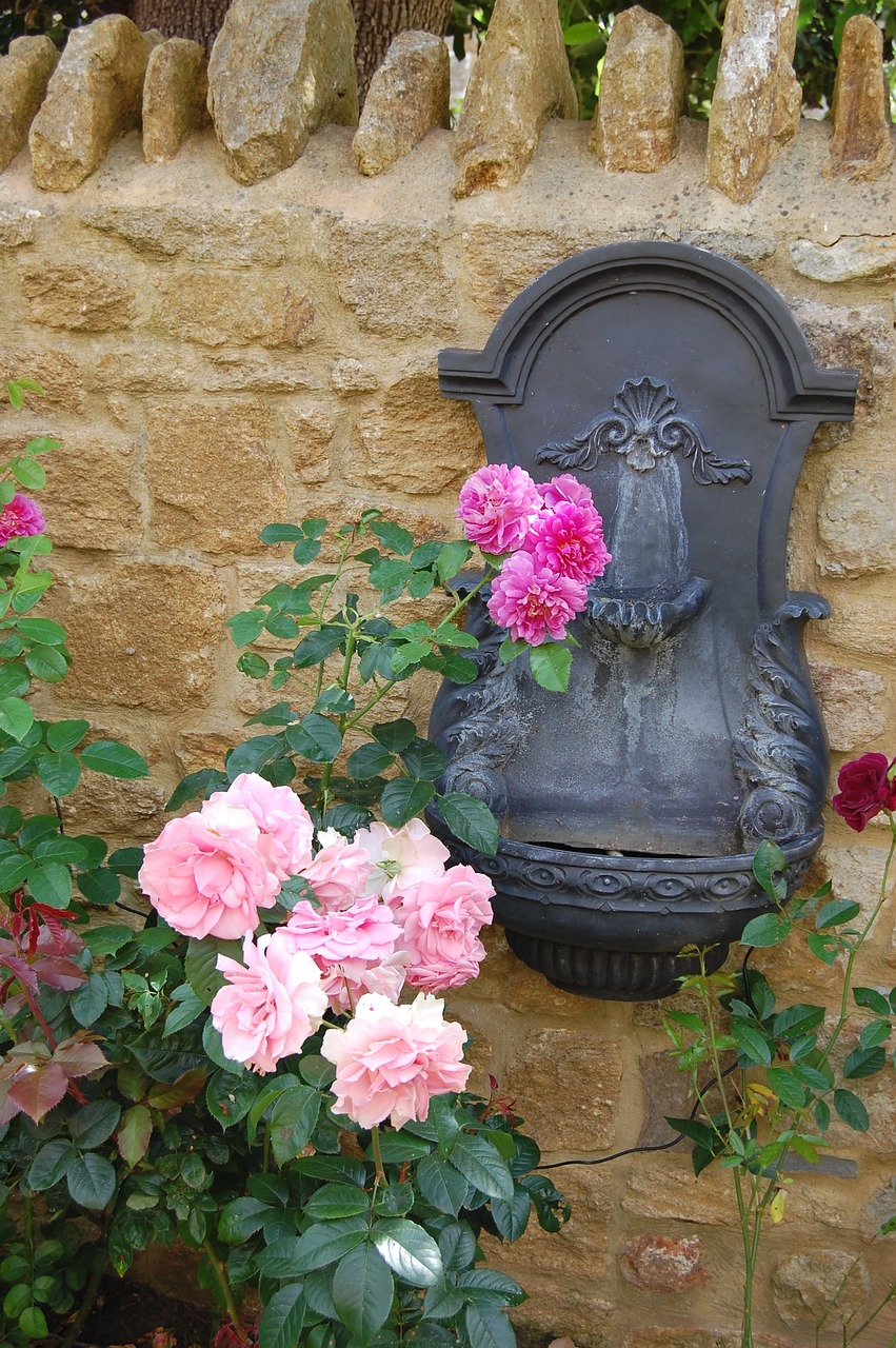 rose pink flowers fountain free photo