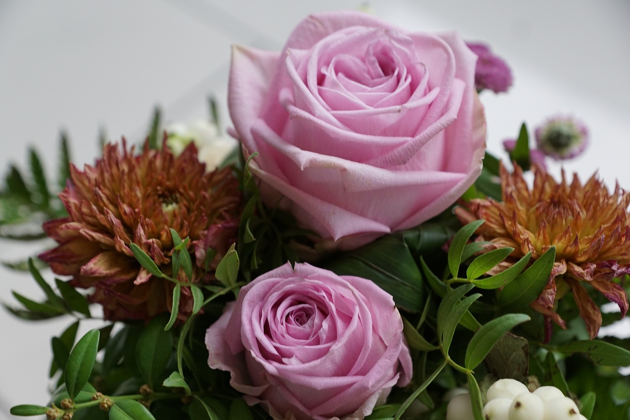 rose flower strauss free photo