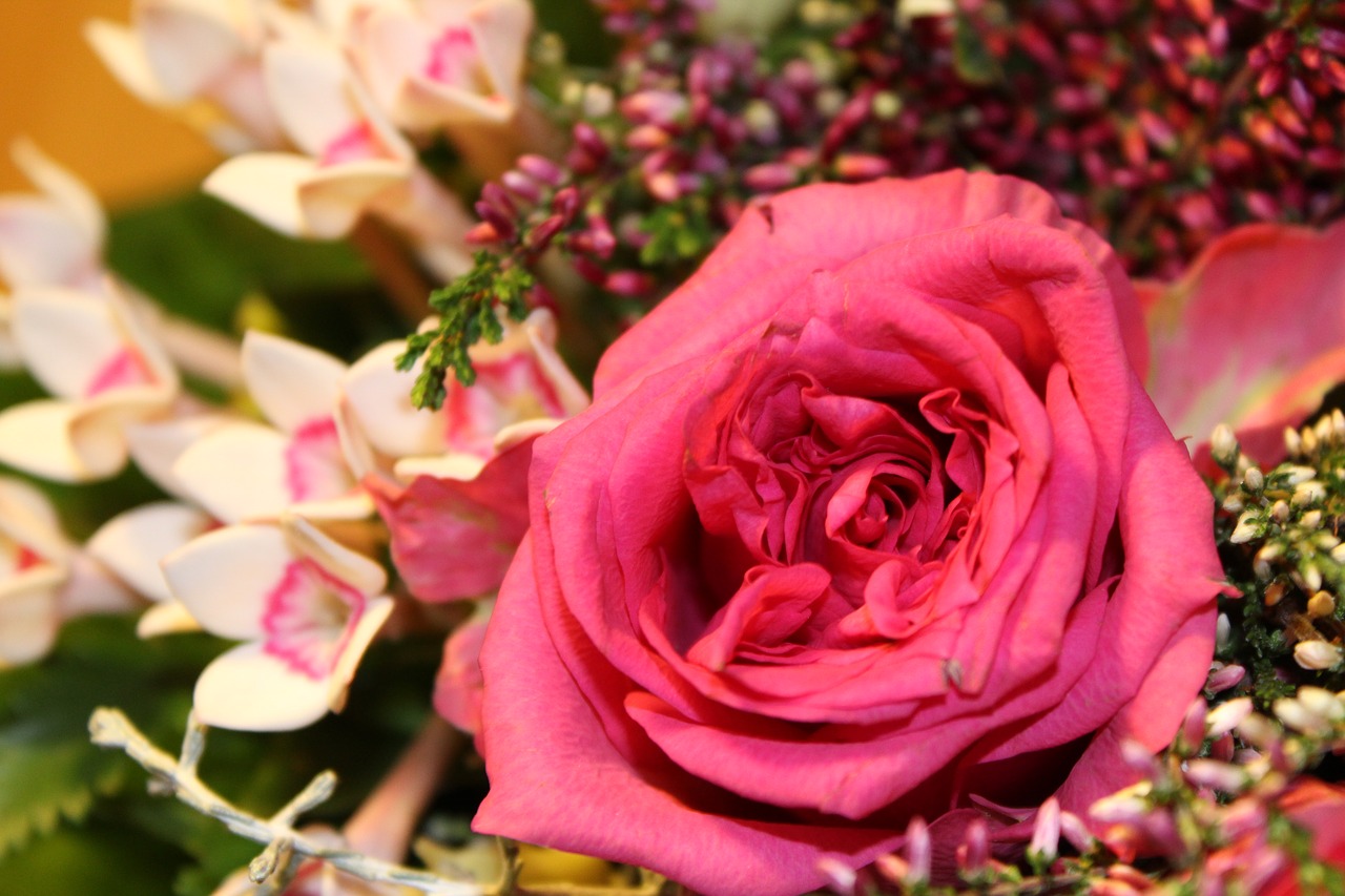 rose pink bouquet free photo