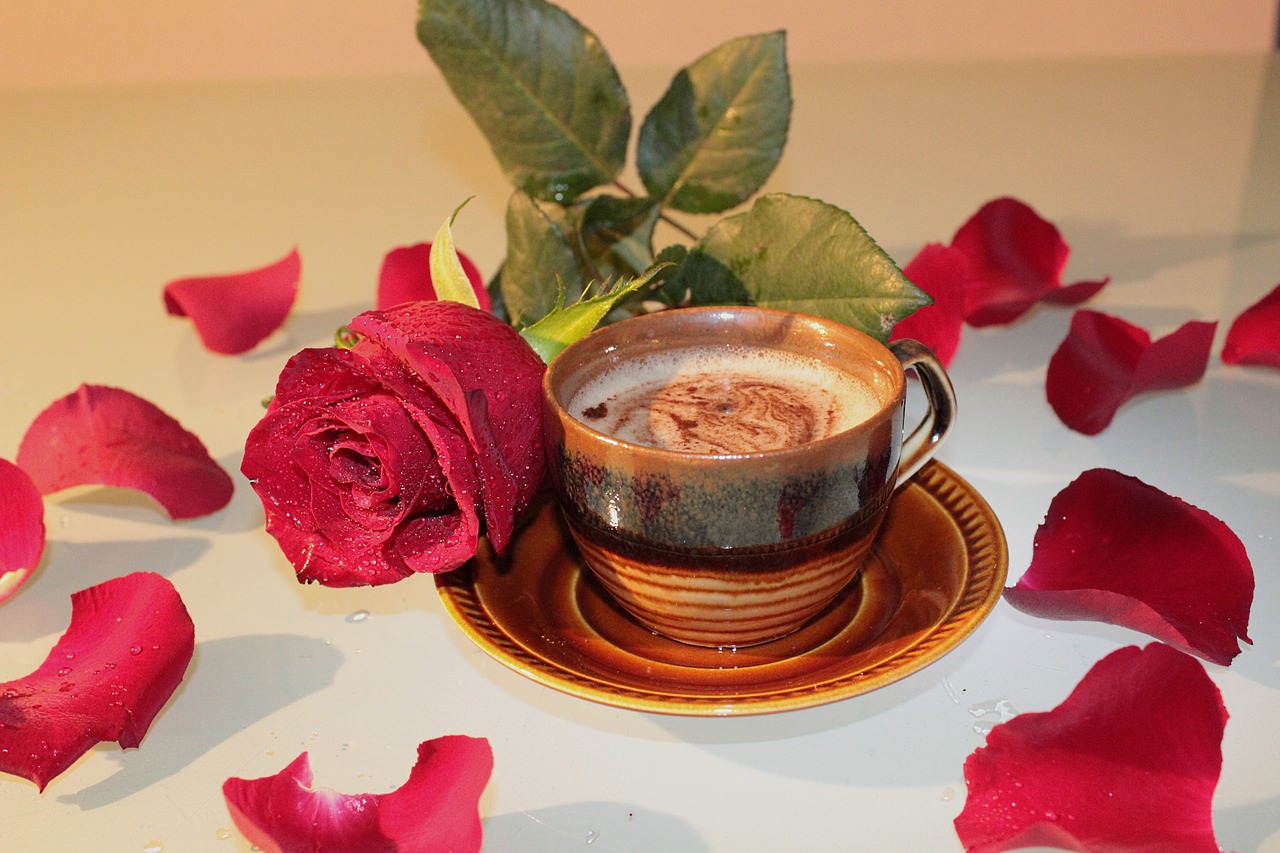 rose coffee cup free photo
