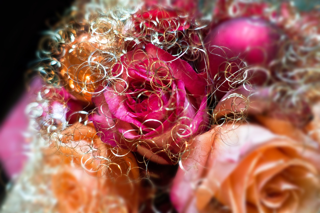 rose christmas arrangement free photo