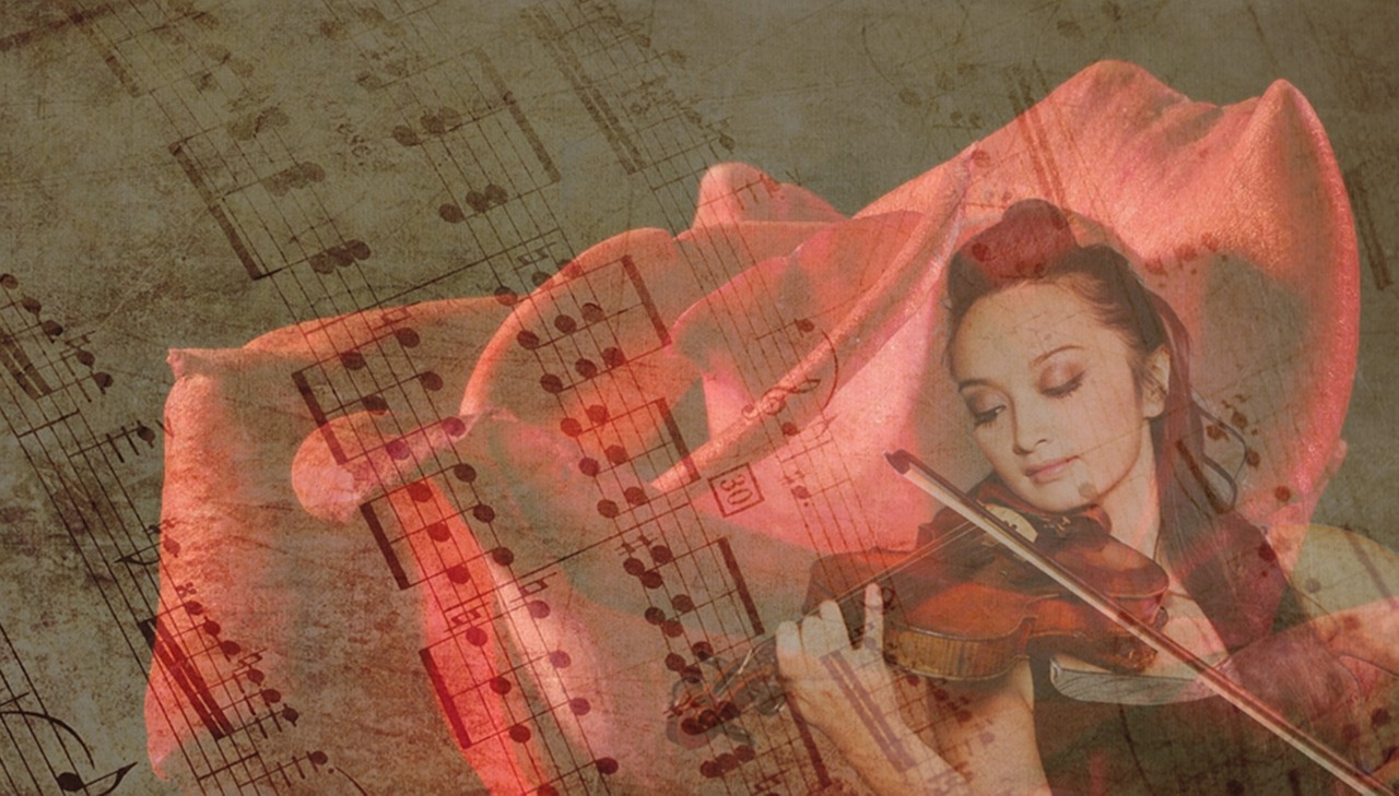 rose music violin free photo