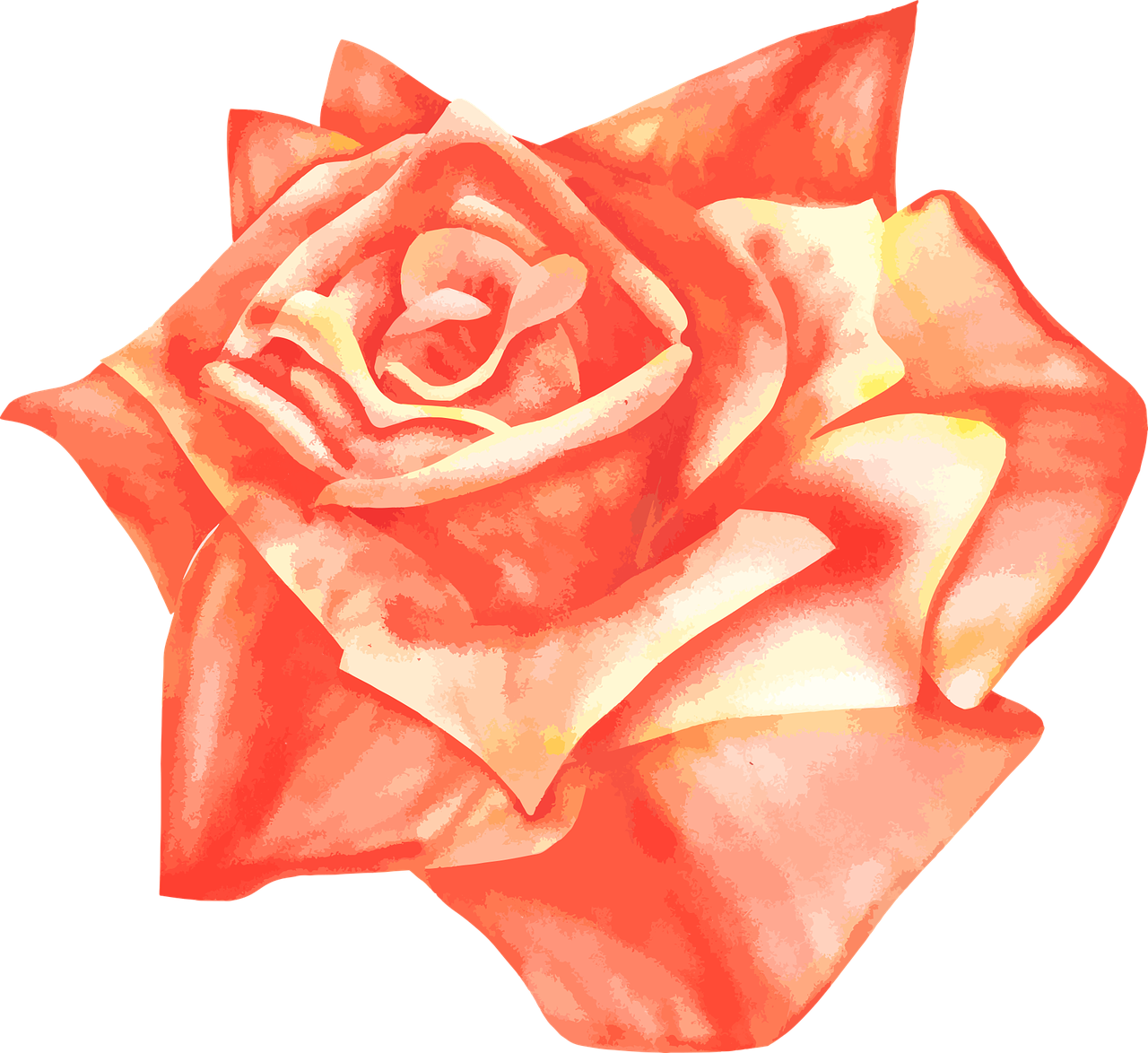 rose airbrush vector free photo