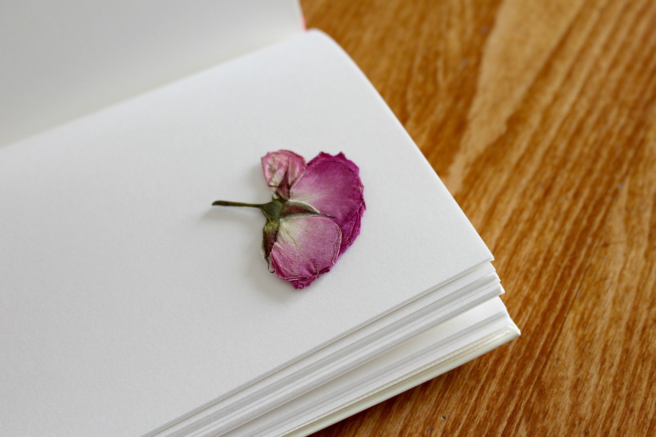 rose book notebook free photo