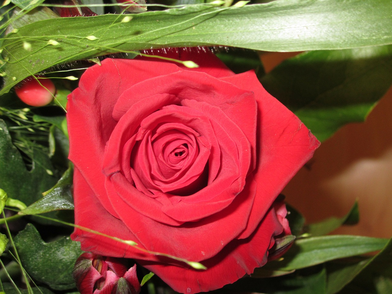 rose red bouquet free photo