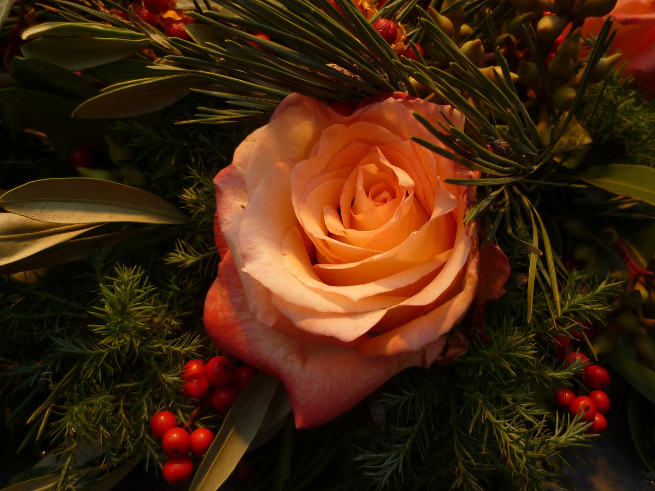 rose christmas bouquets free photo