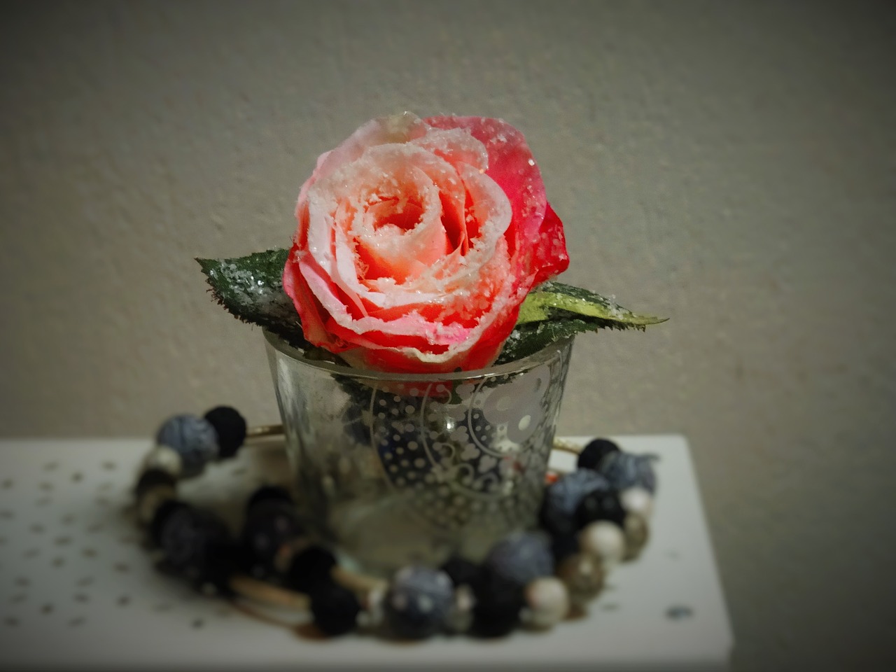 rose vase decoration free photo