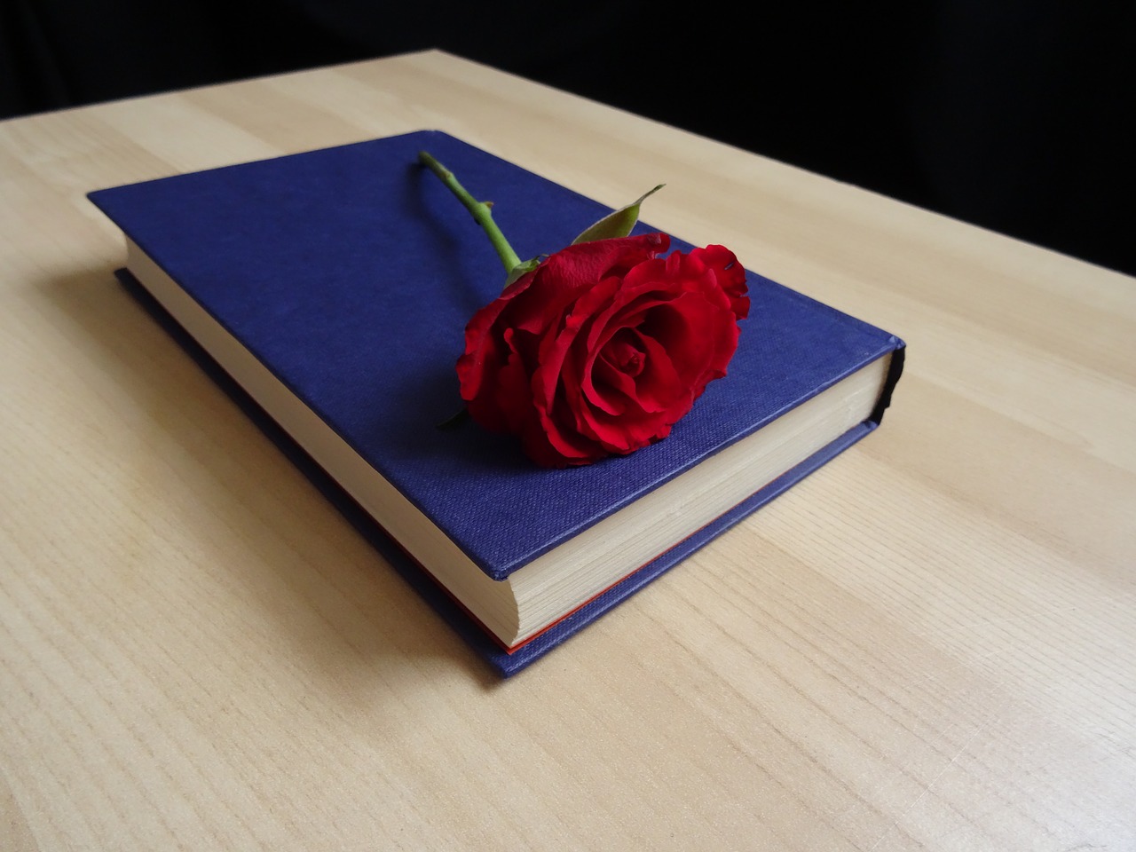 rose book romance novel free photo