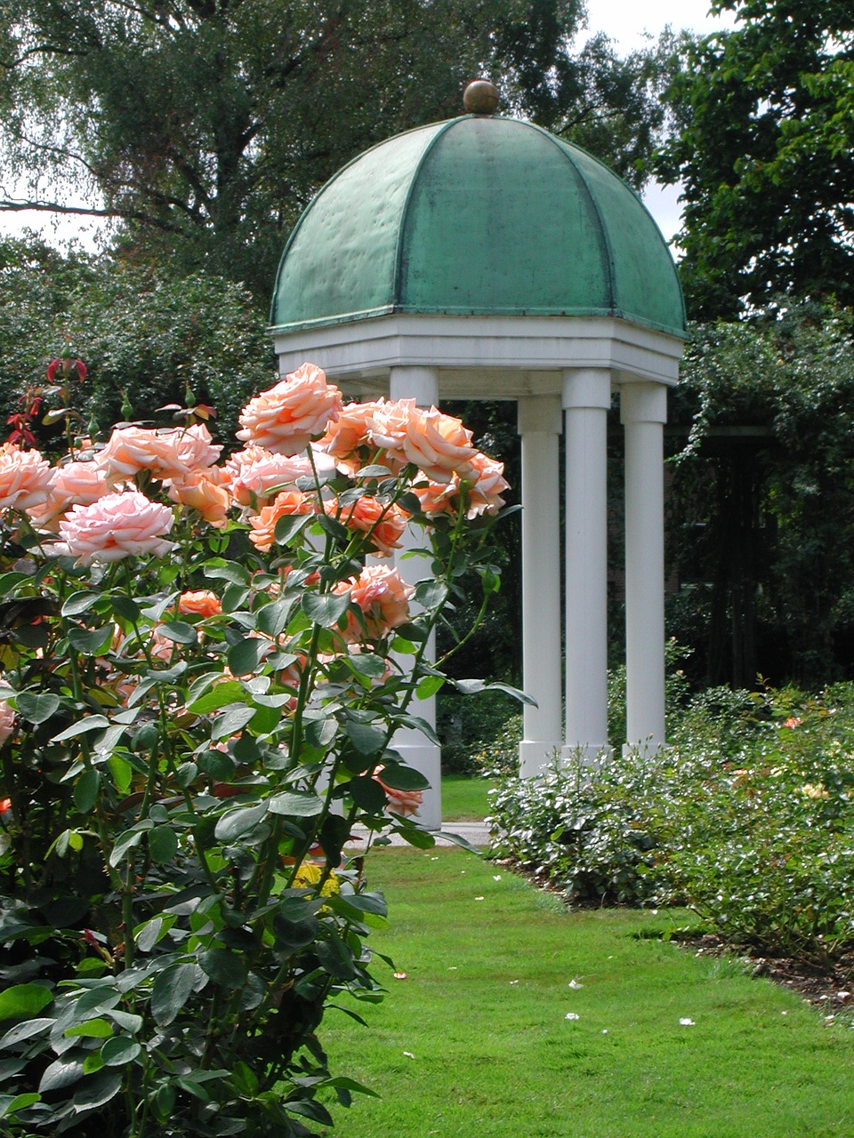 rose dome garden free photo