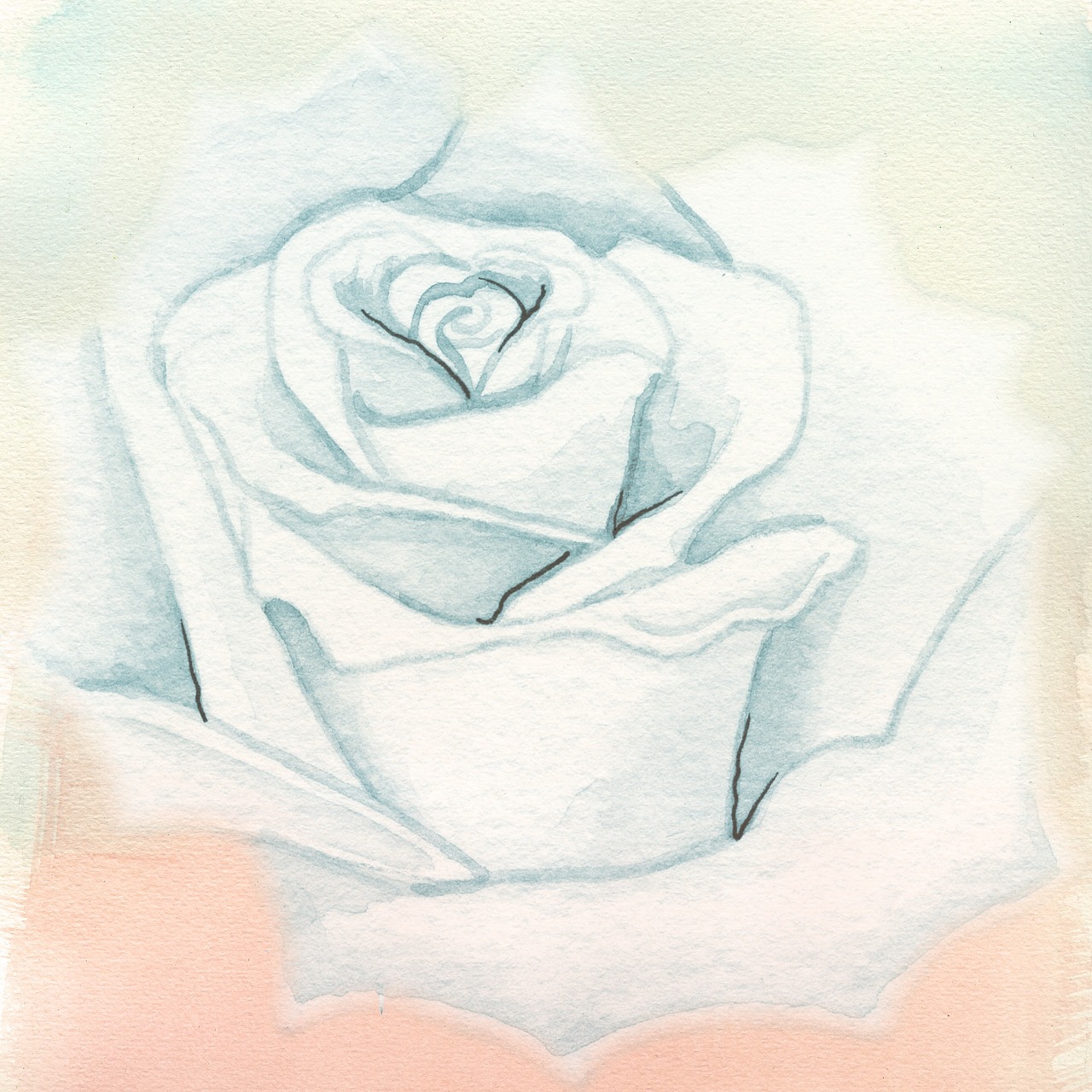 rose background watercolor free photo