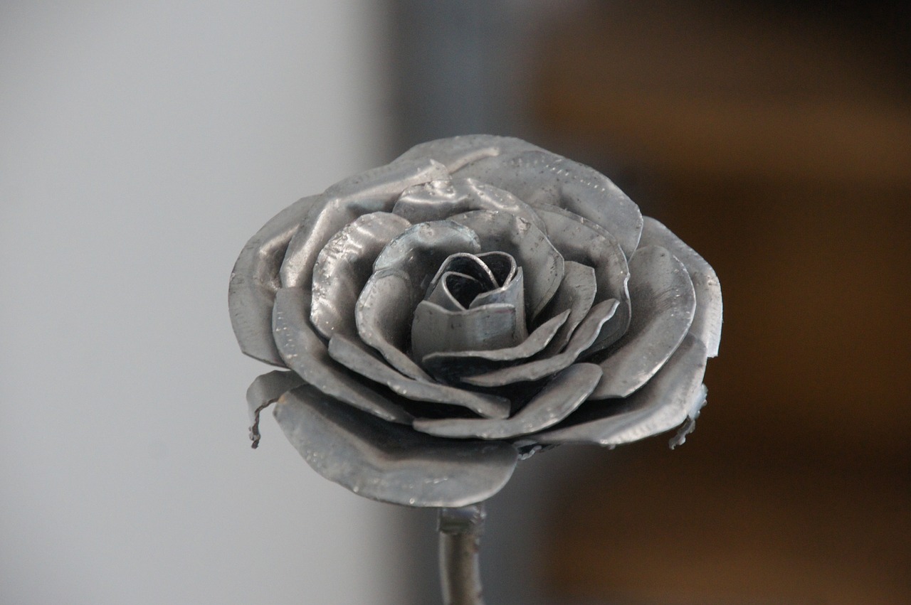 rose silver deco free photo