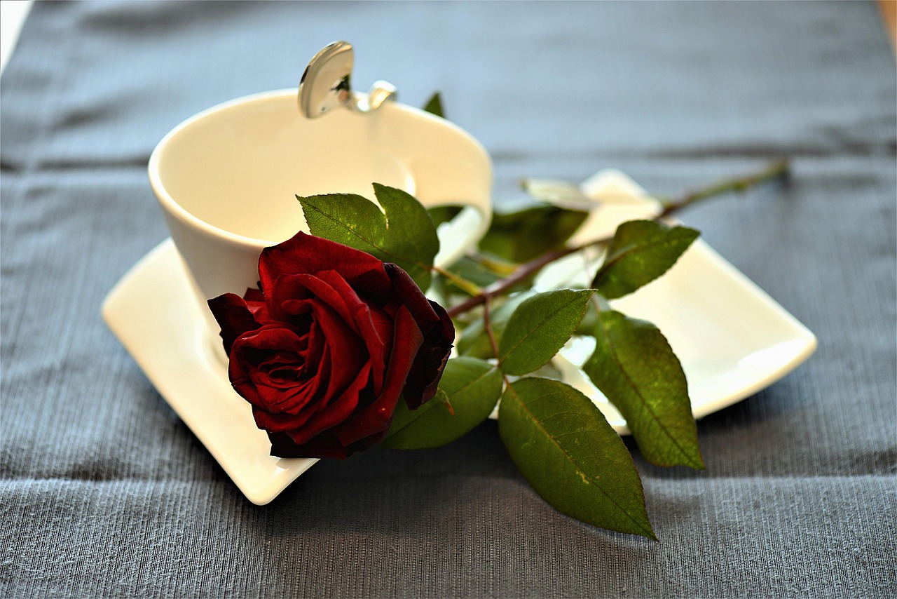 rose coffee cup cover free photo