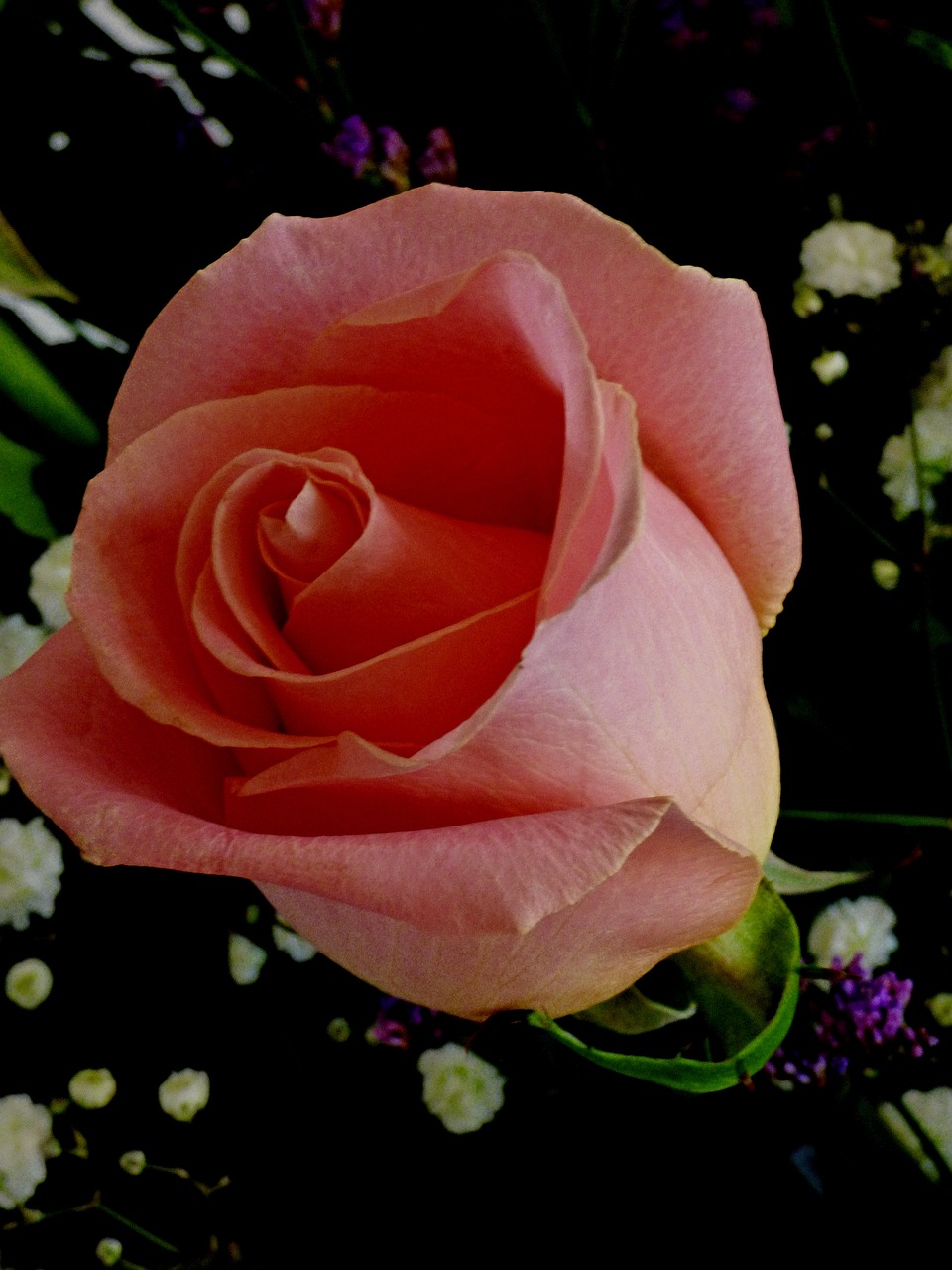 rose pink bouquet free photo
