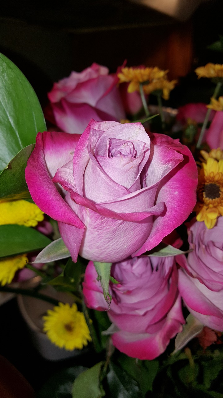 rose bunch green free photo