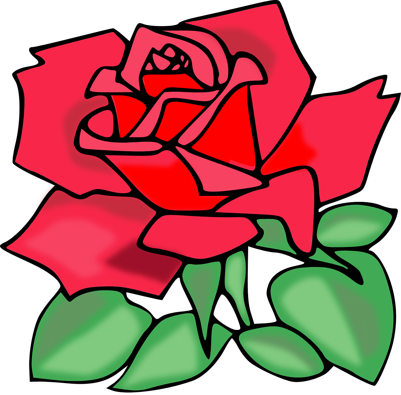 rose flower red free photo