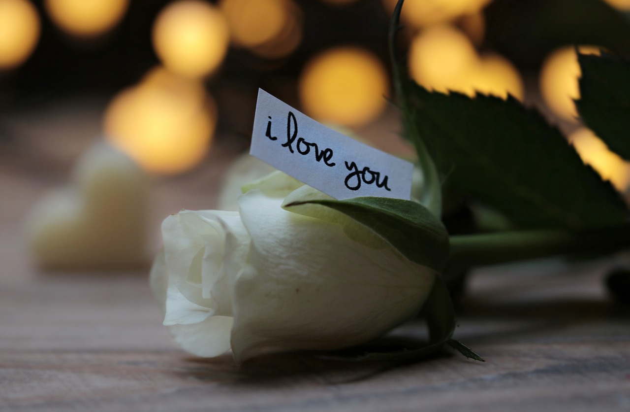 Rose Bokeh Love Message I Love You White Rose Free Image From