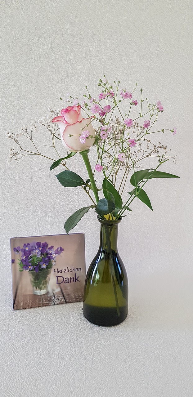 rose gypsophila white pink free photo