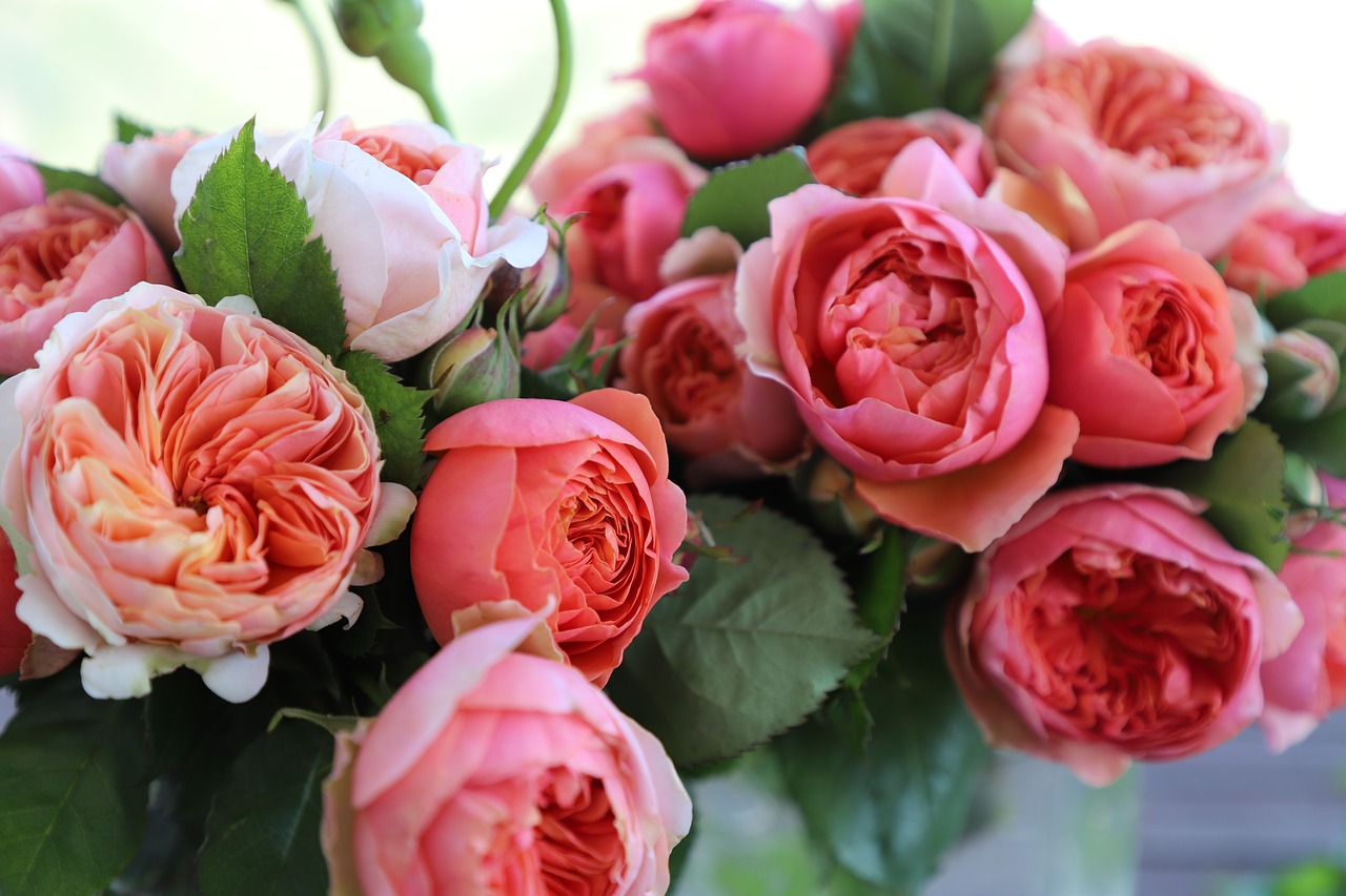 rose  bouquet  flower arrangement free photo