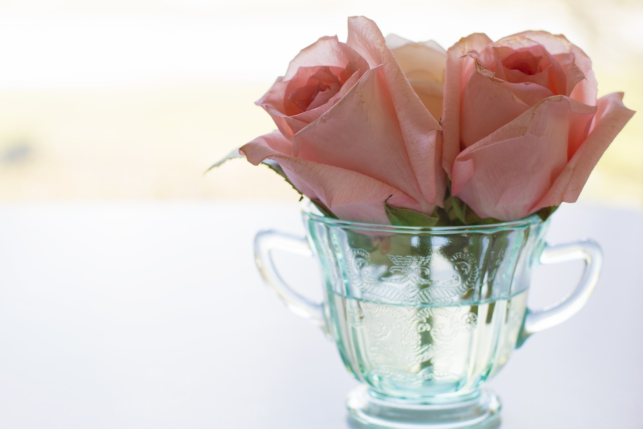 rose  pink roses  tea cup free photo