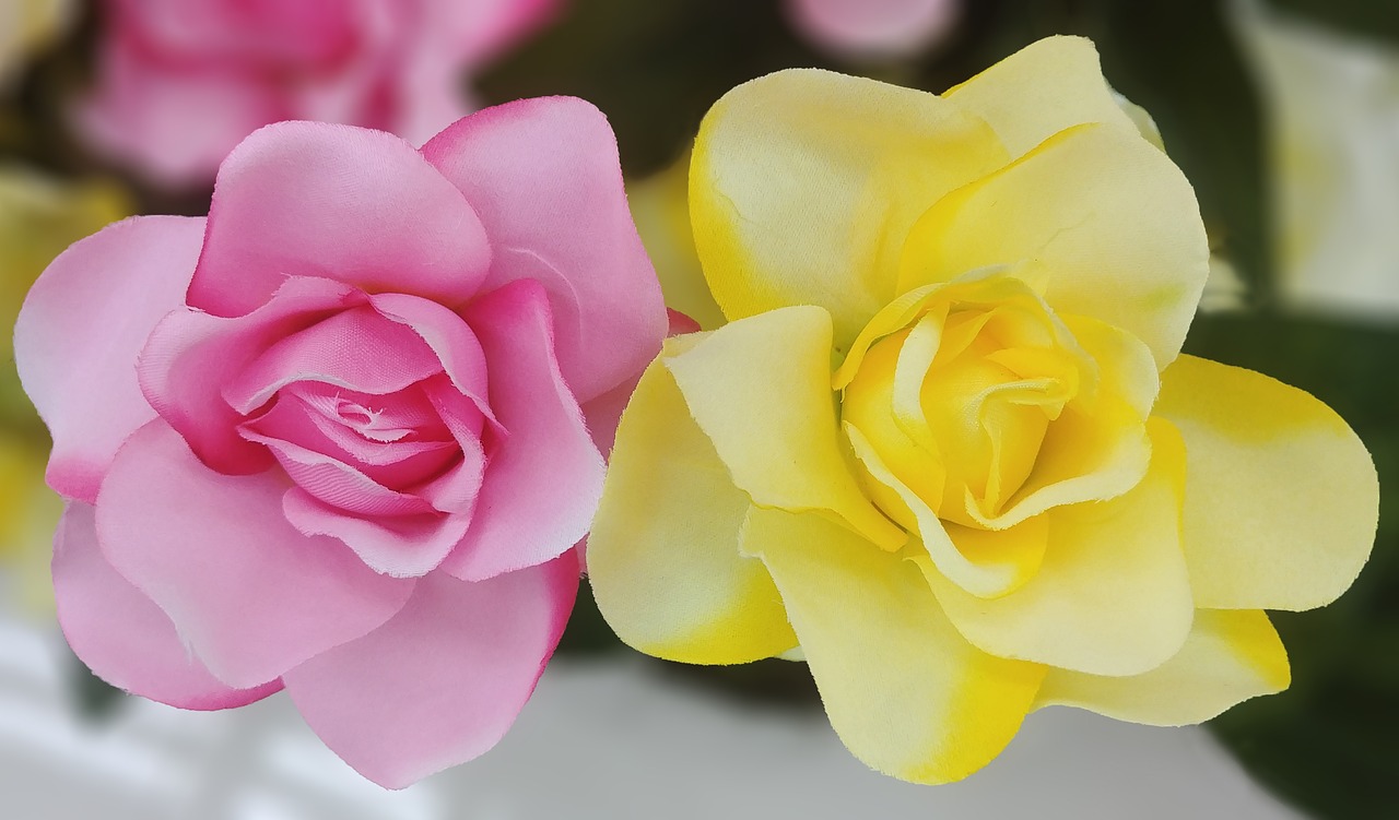 rose  harmony  artificial flower free photo