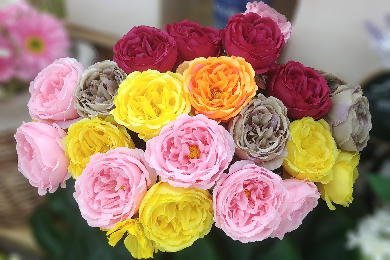 rose  harmony  artificial flower free photo