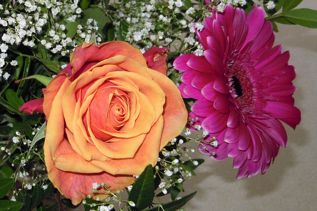rose birthday bouquet gypsophila free photo