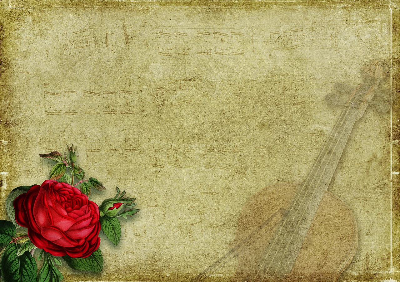 rose  violin  music free photo