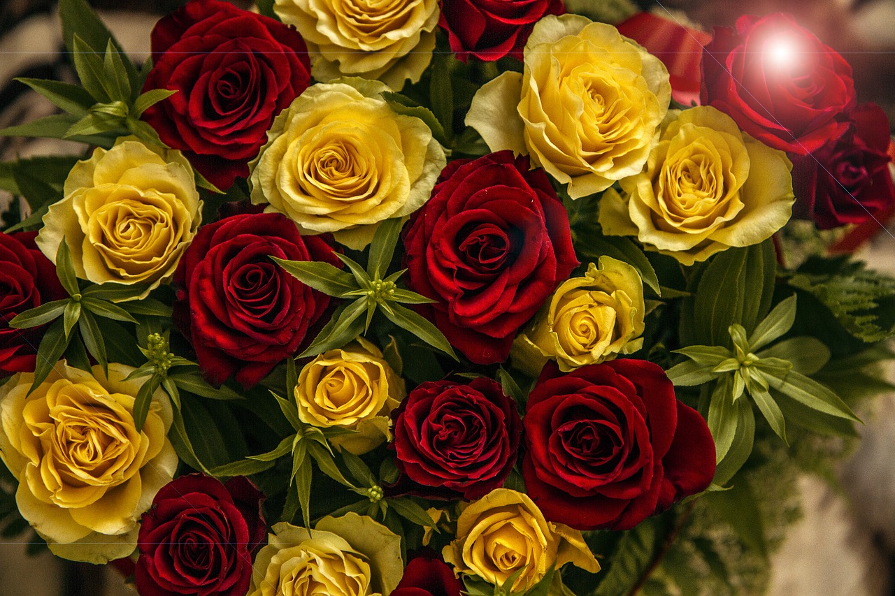 rose  flower  pattern free photo