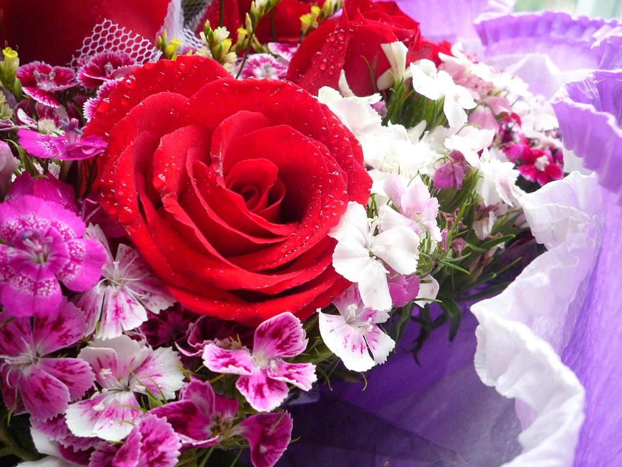 rose flower bouquet free photo