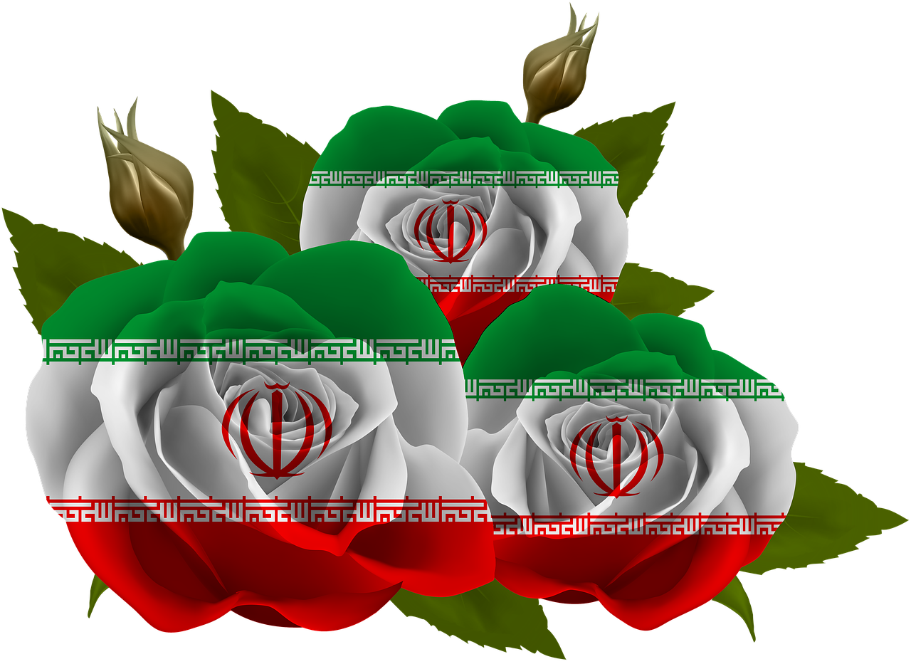 rose  iran  tajikistan free photo