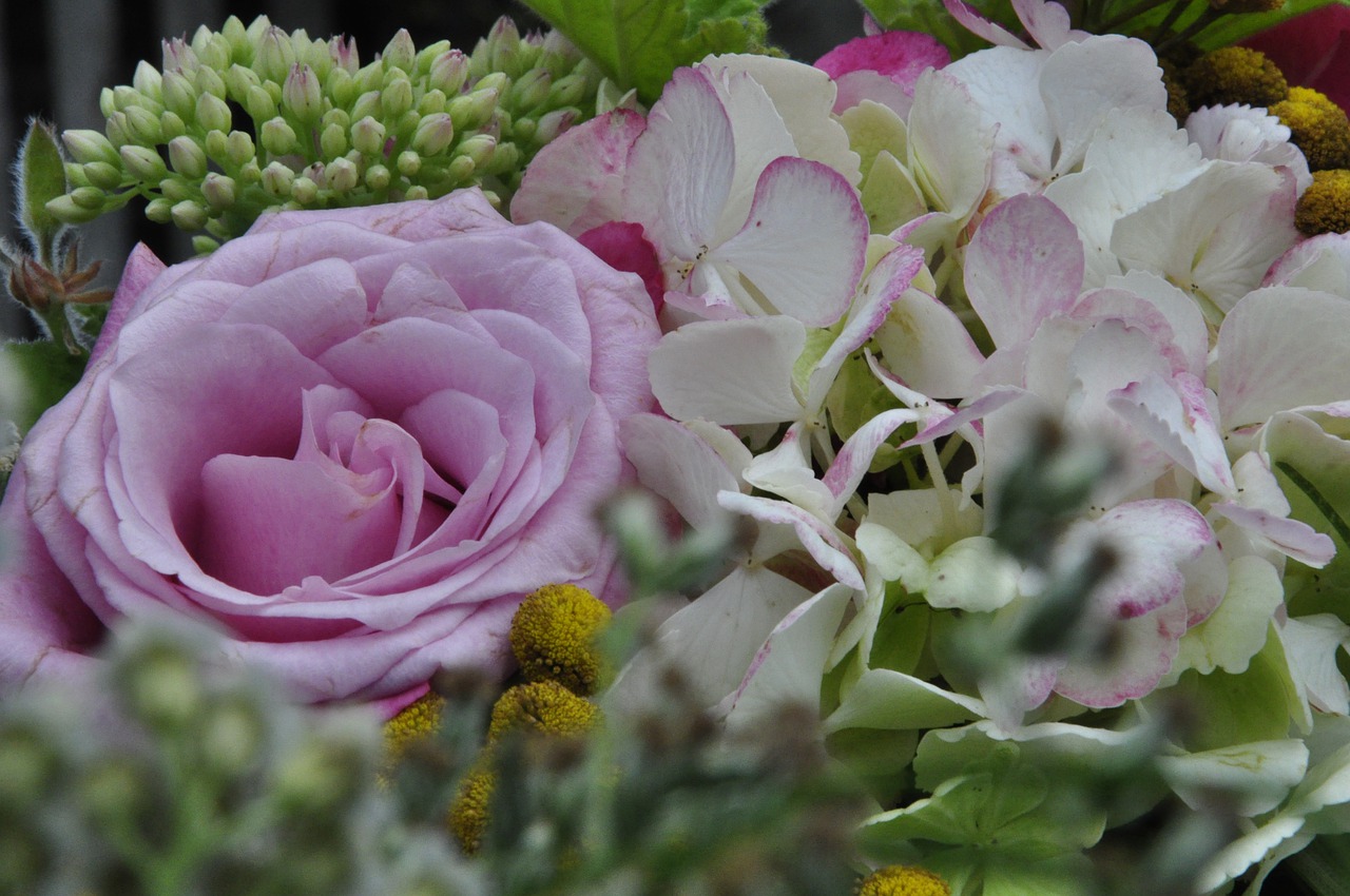 rose  bouquet  mother's day free photo