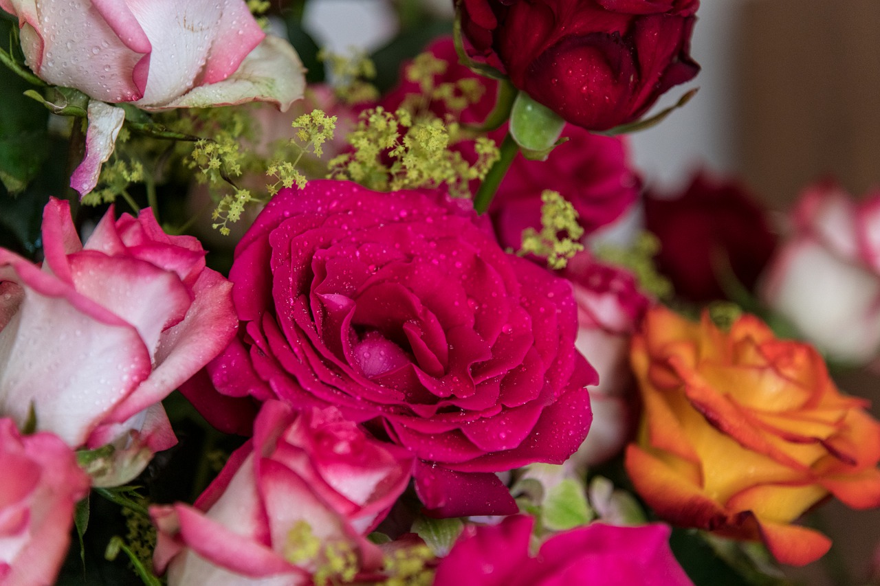 rose  red  bouquet free photo