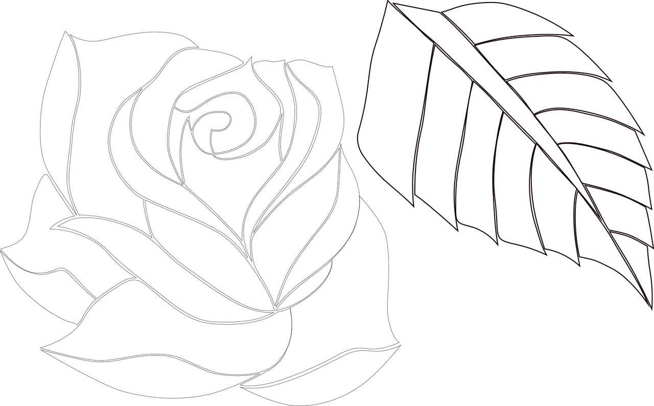 rose floral decoration free photo