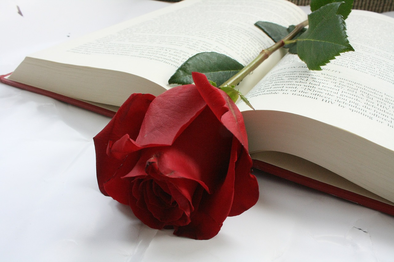 rose flower book free photo