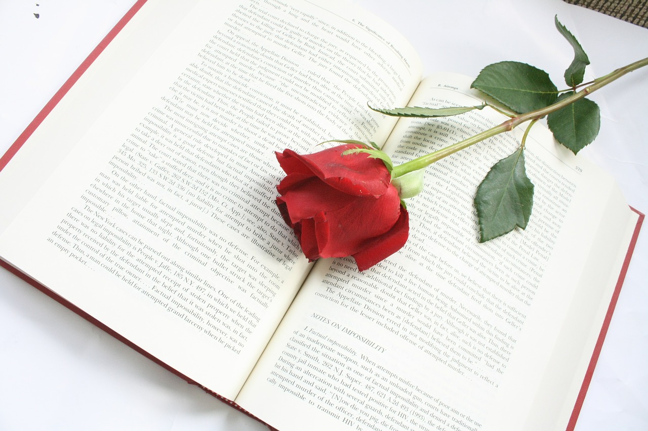 rose flower book free photo