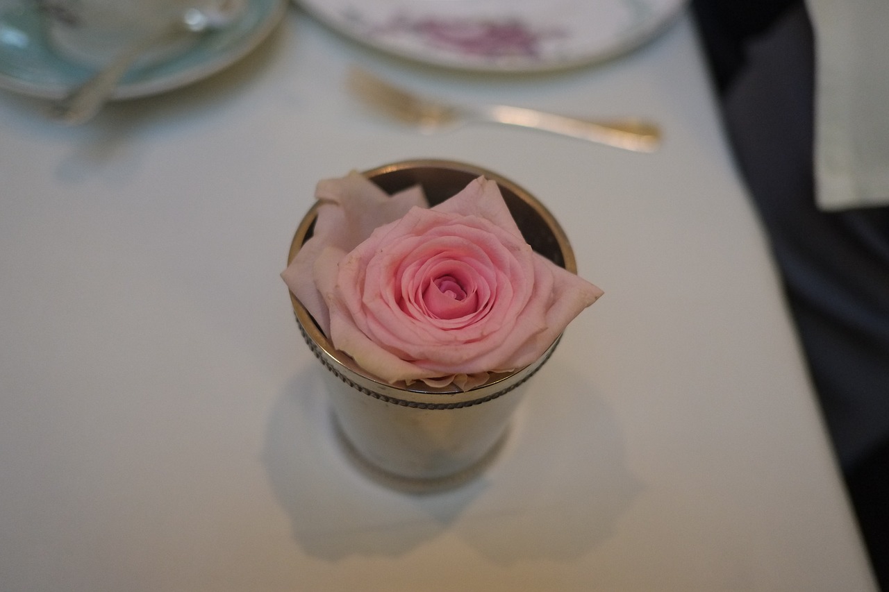 rose pink tea free photo