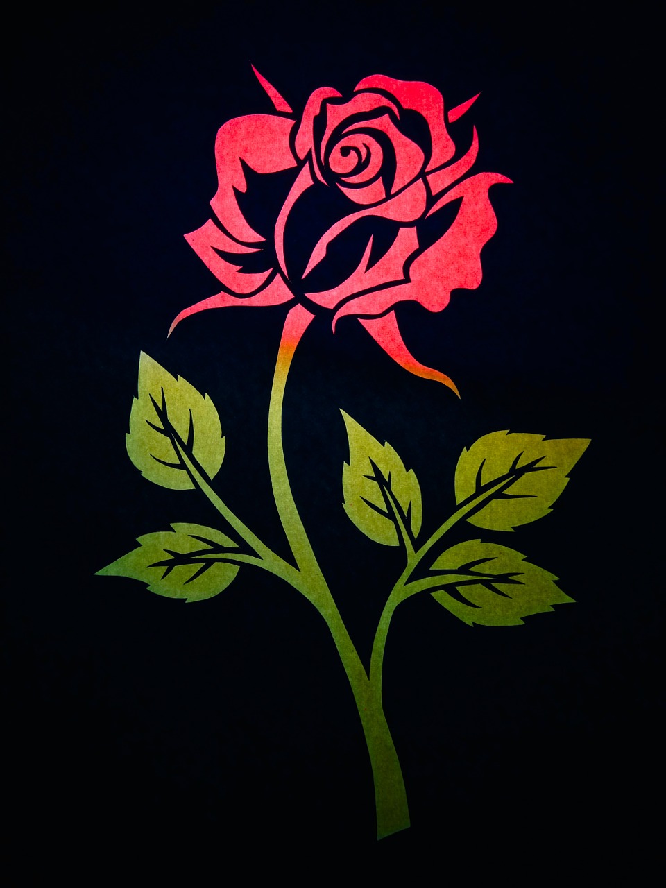 rose flower contour free photo